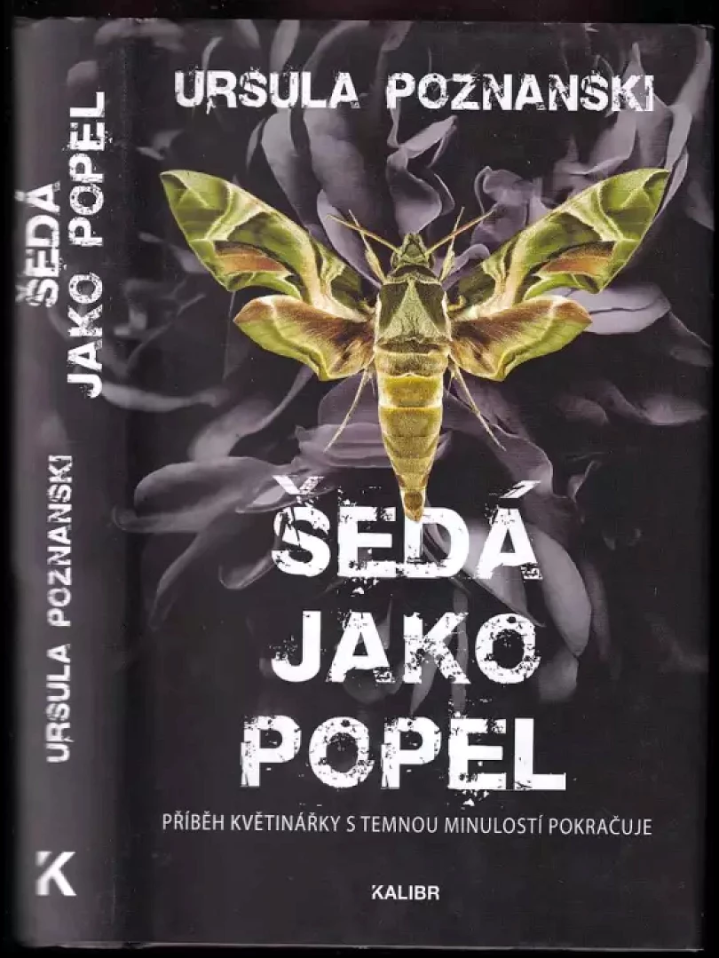 Levně Šedá jako popel (Ursula Poznanski, 2022)