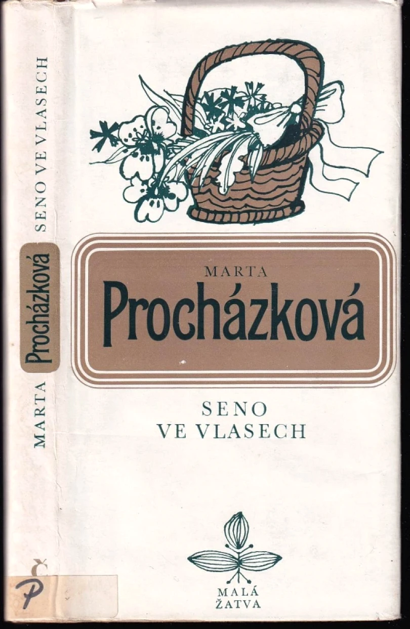 Levně Seno ve vlasech (Marta Procházková, 1980)