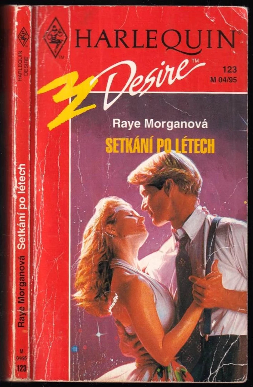 Levně Setkání po létech (Raye Morgan, 1995)