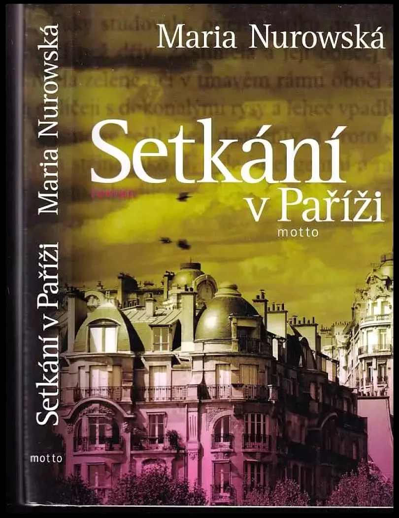Levně Setkání v Paříži (Maria Nurowska, 2009)