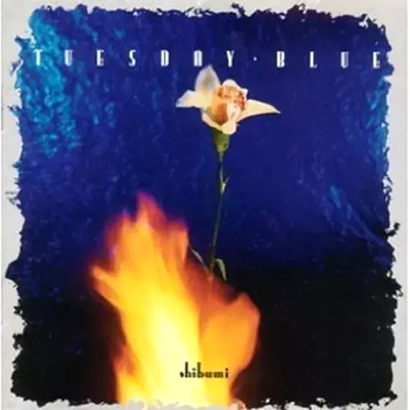 Levně Shibumi (Tuesday Blue, 1988)