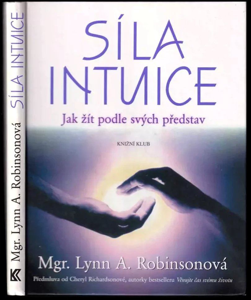 Levně Síla intuice (Lynn A Robinson, 2004)