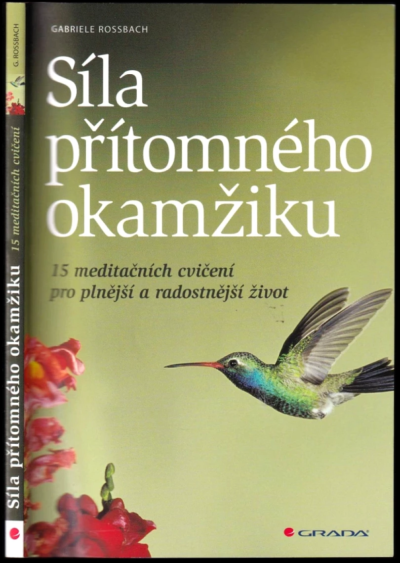Levně Síla přítomného okamžiku (Gaby Rossbach, 2014)