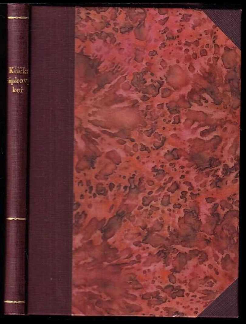 Šípkový keř PODPIS Petr Křička (Petr Křička, 1925)