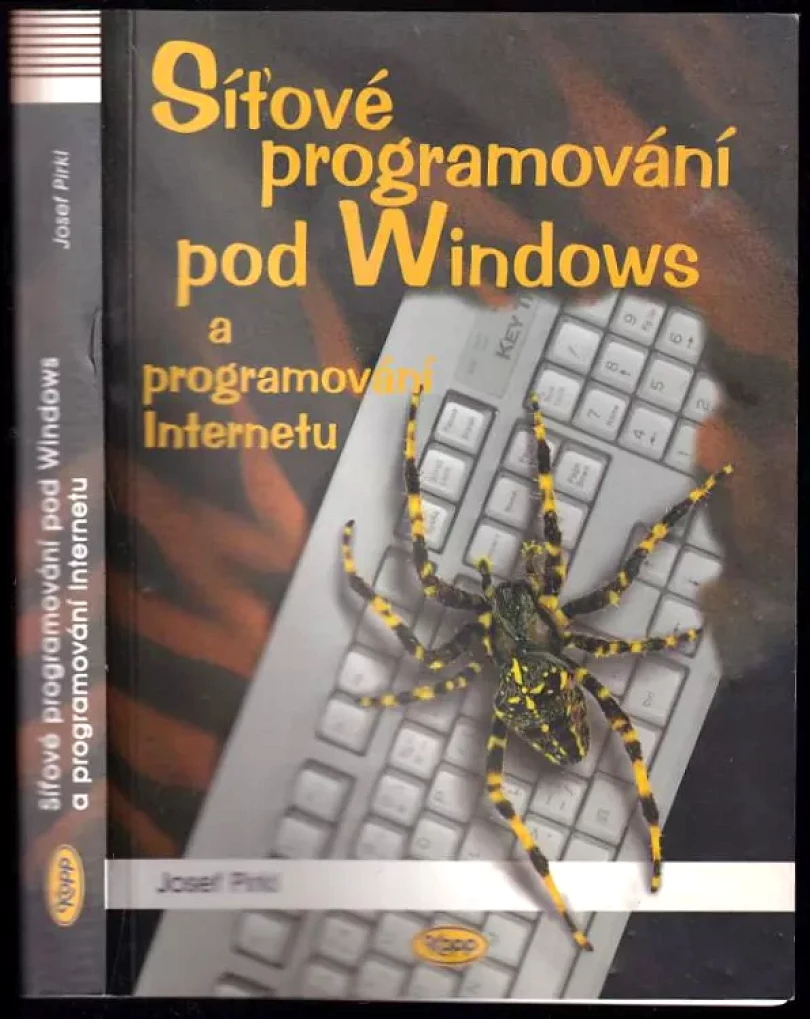 Síťové programování pod Windows a programování Internetu (Josef Pirkl, 2001)