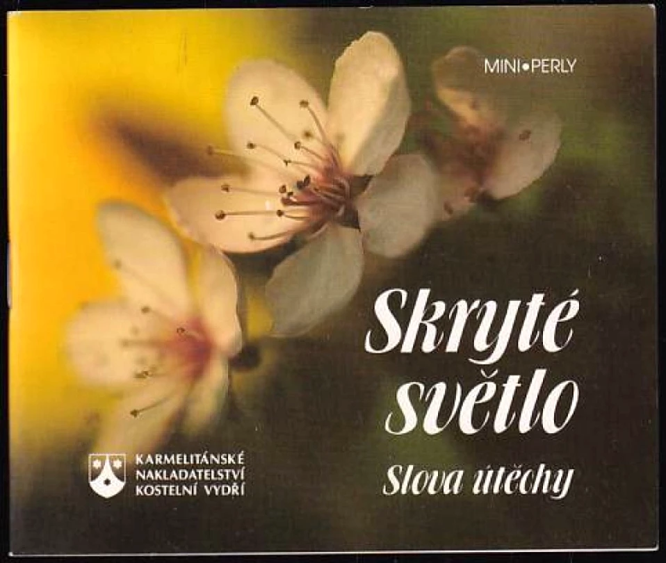 Skryté světlo (, 1995)