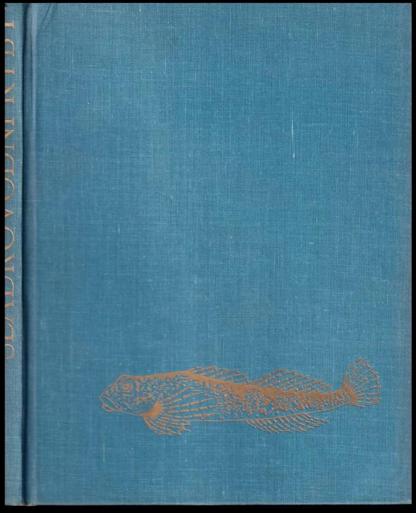 Levně Sladkovodní ryby (Jozef Mihálik, 1971)