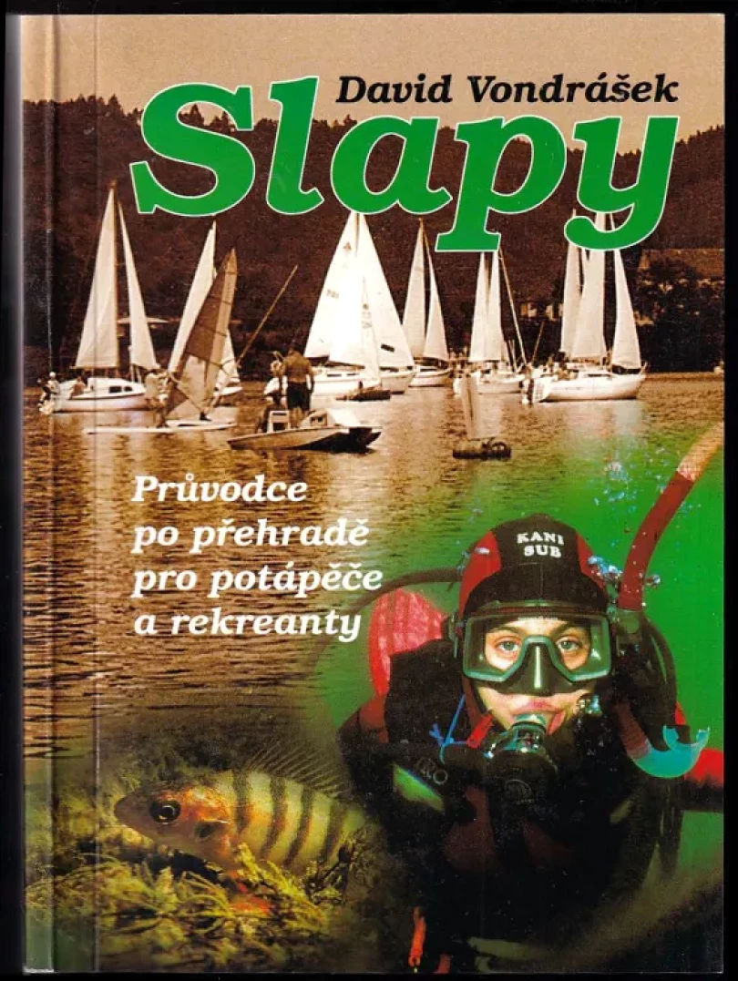 Slapy (David Vondrásek, 2001)