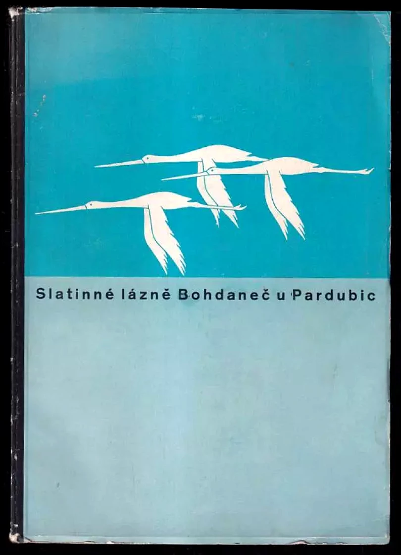 Slatinné lázně Bohdaneč u Pardubic (, 0)