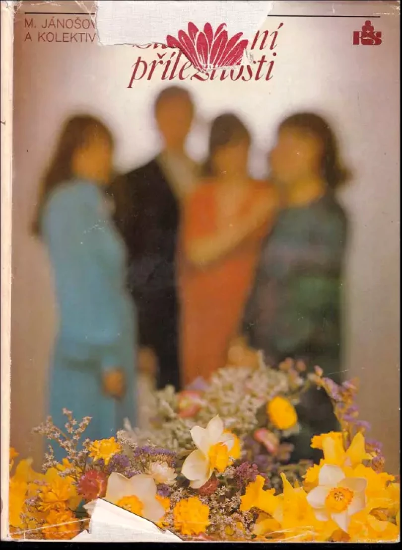 Slavnostní příležitosti (Martina Jánošovová, 1983)