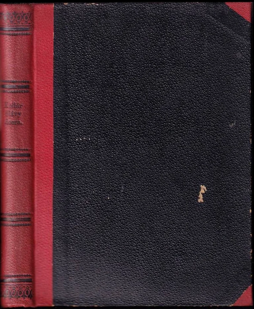 Levně Slávy dcera (Ján Kollár, 1885)