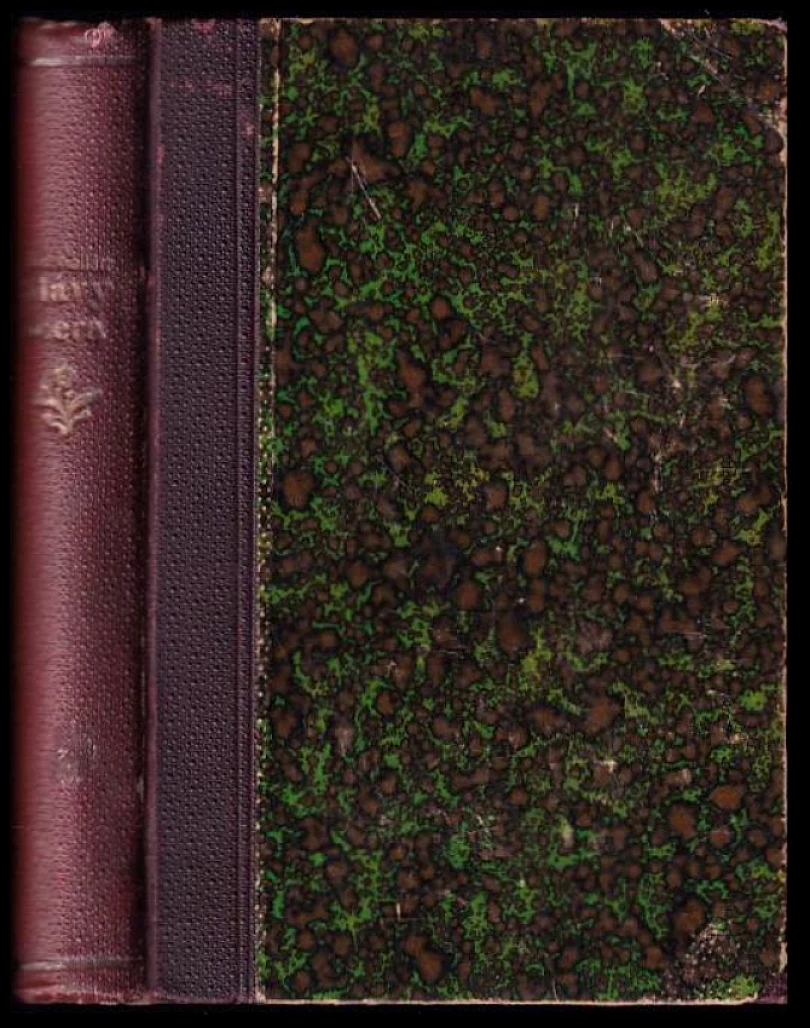Levně Slávy dcera (Ján Kollár, 1862)