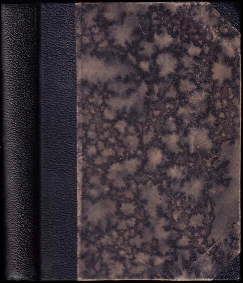 Levně Šlechtické hnízdo (Ivan Sergejevič Turgenev, 1931)