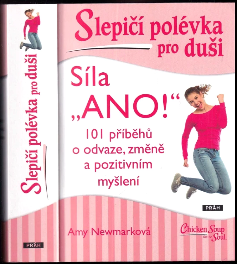 Levně Slepičí polévka pro duši (Amy Newmarková,, 2021)