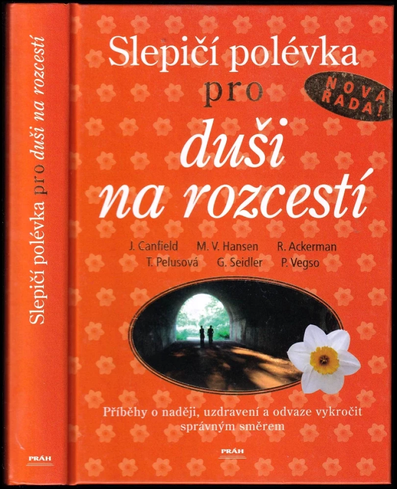 Levně Slepičí polévka pro duši na rozcestí (Jack Canfield, 2006)