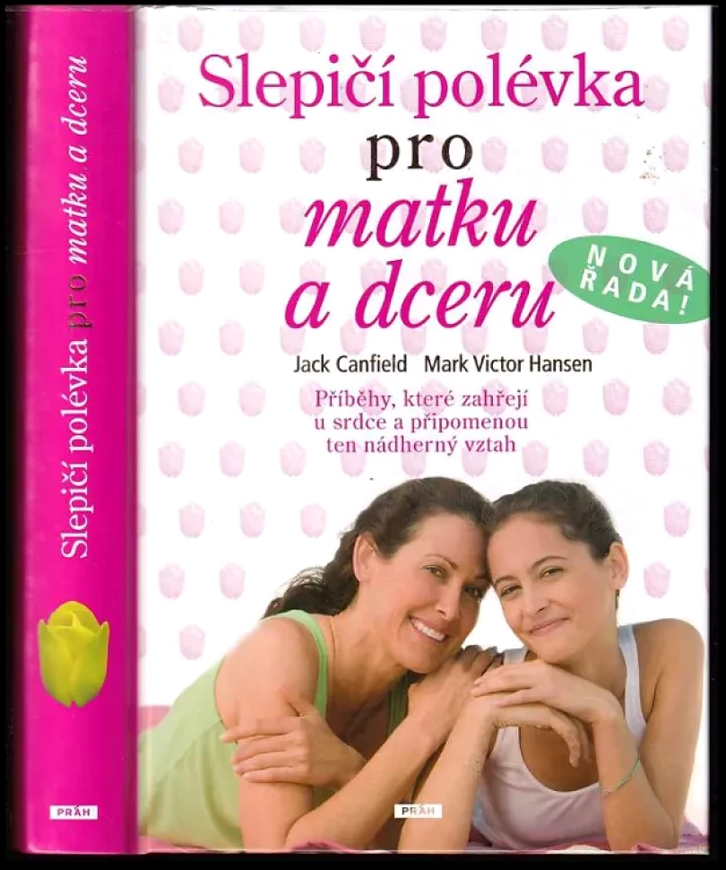 Levně Slepičí polévka pro matku a dceru (Jack Canfield, 2008)