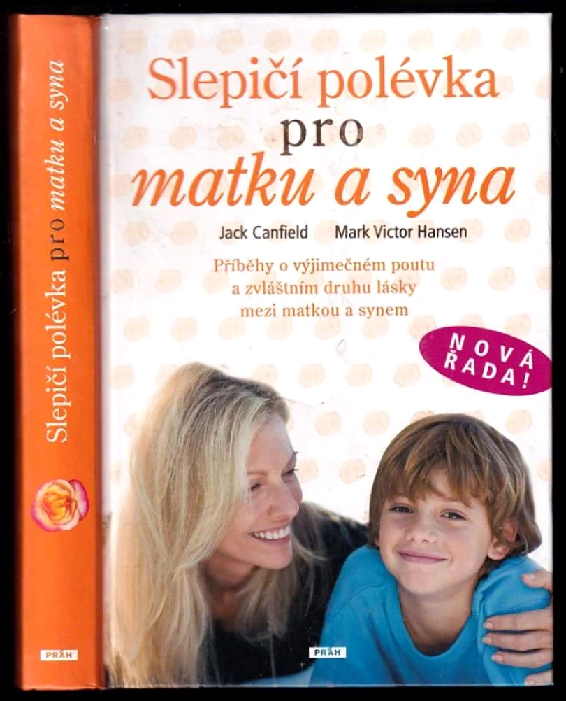 Levně Slepičí polévka pro matku a syna (Jack Canfield, 2009)