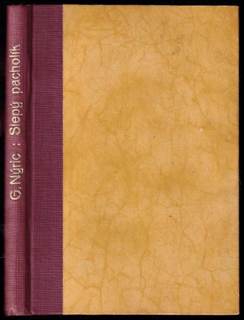 Levně Slepý pacholík (Gustav Nieritz, 1891)
