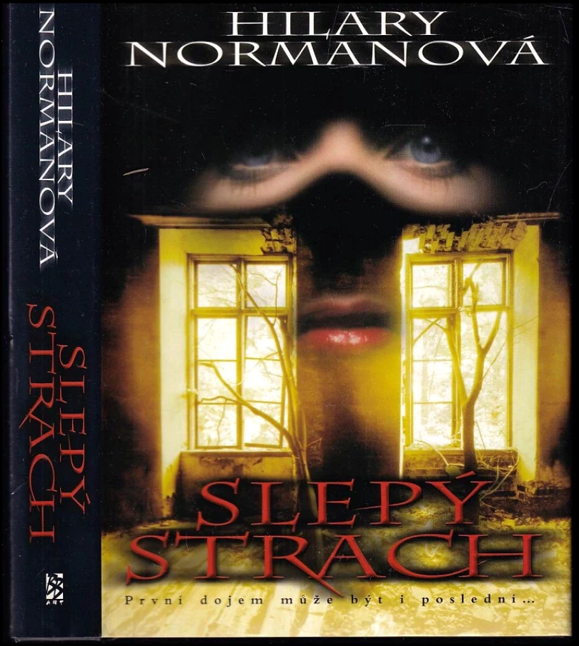 Slepý strach (Hilary Norman, 2002)