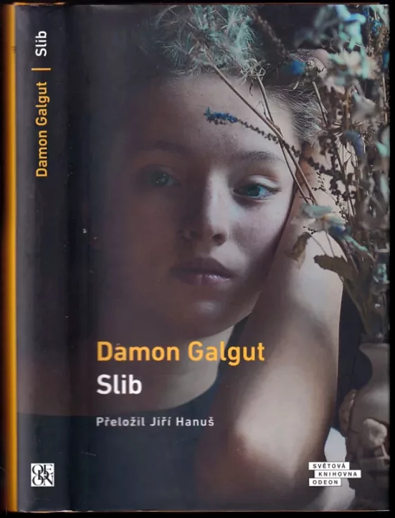 Levně Slib (Damon Galgut, 2022)