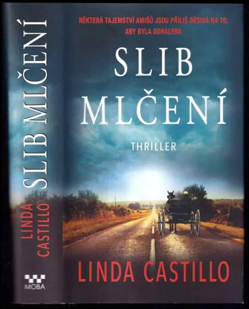 Levně Slib mlčení (Linda Castillo, 2014)