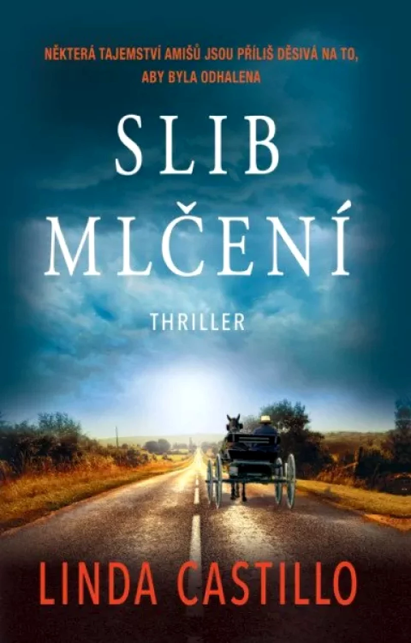 Levně Slib mlčení (Linda Castillo, 2023)