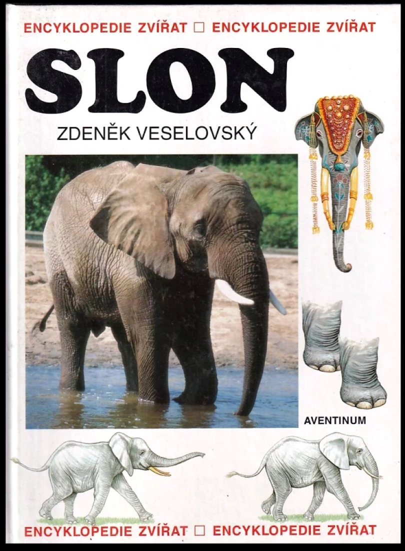 Slon (Zdeněk Veselovský, 1997)