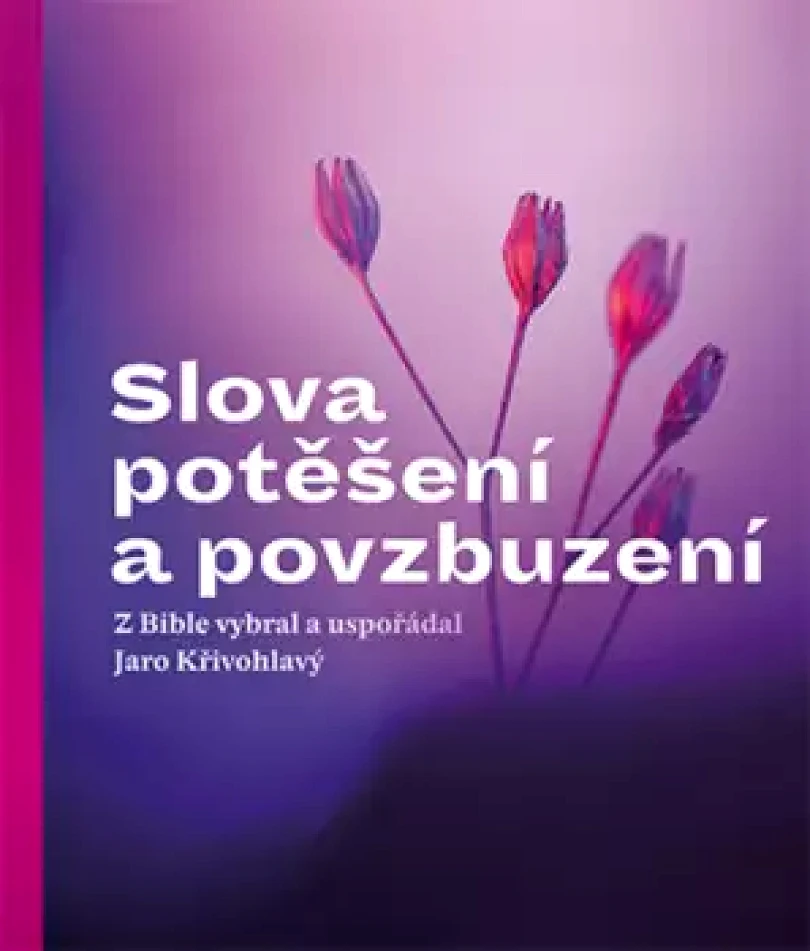 Levně Slova potěšení a povzbuzení (, 2024)