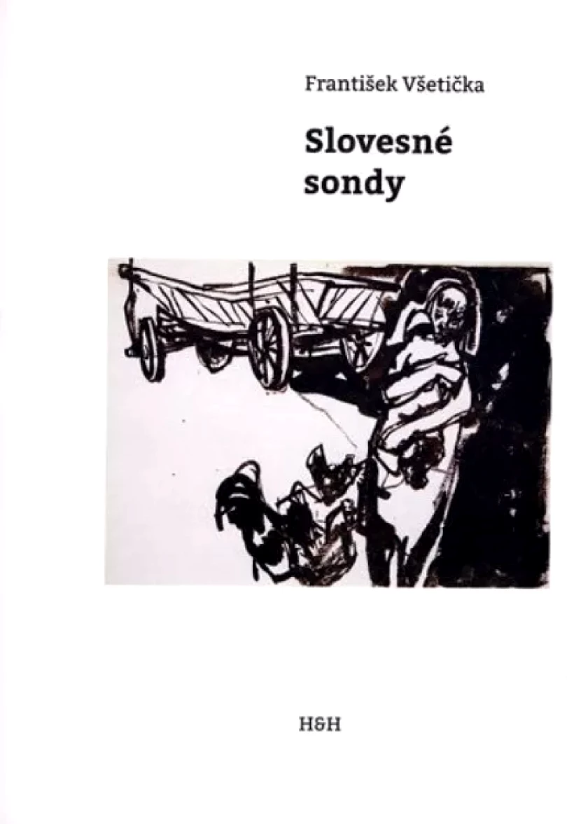 Levně Slovesné sondy (František Všetička, 2017)
