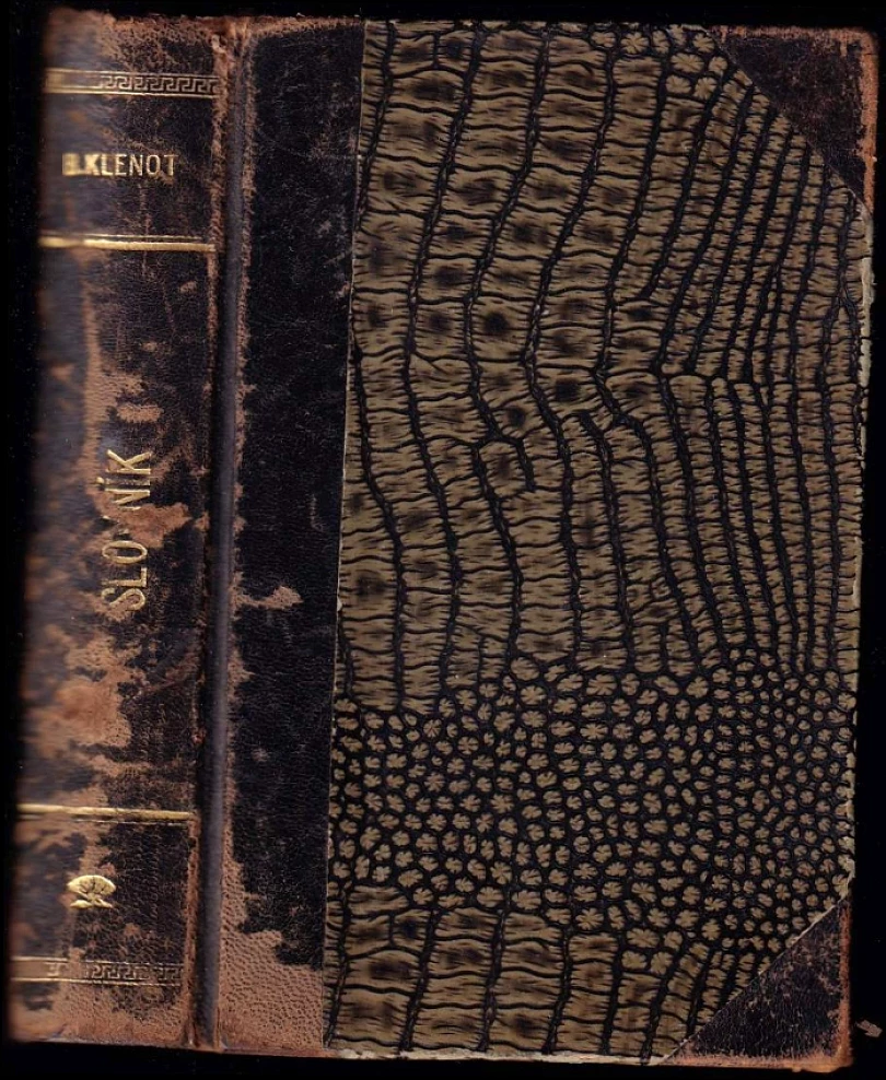 Slovník cizojazyčných slov a úsloví v češtině se vyskytujících s dodatkem jmen osobních a místních (Bedřich Klenot, 1922)