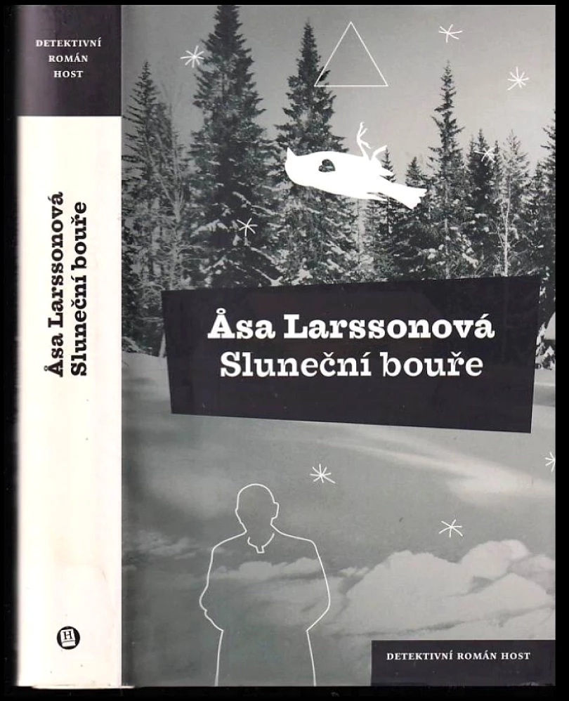 Levně Sluneční bouře (Åsa Larsson, 2010)