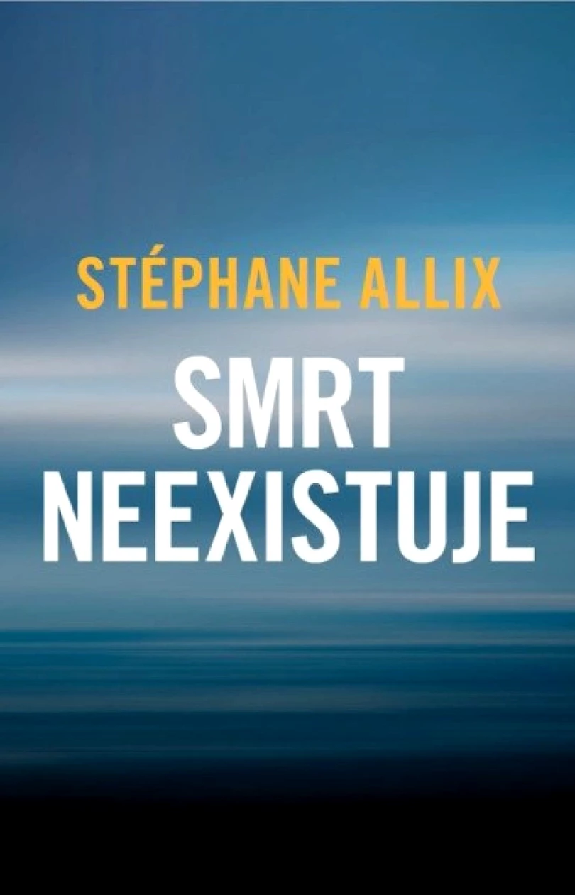 Levně Smrt neexistuje (Stéphane Allix, 2025)