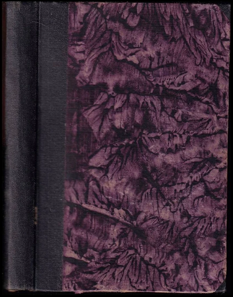 Levně Smrtelný hřích (André Theuriet, 1920)