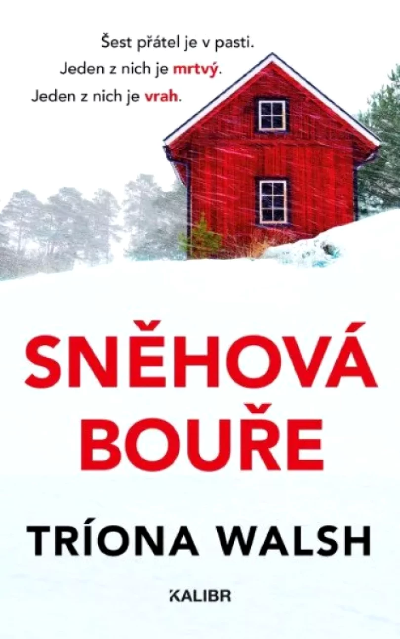 Sněhová bouře (Tríona Walsh, 2025)