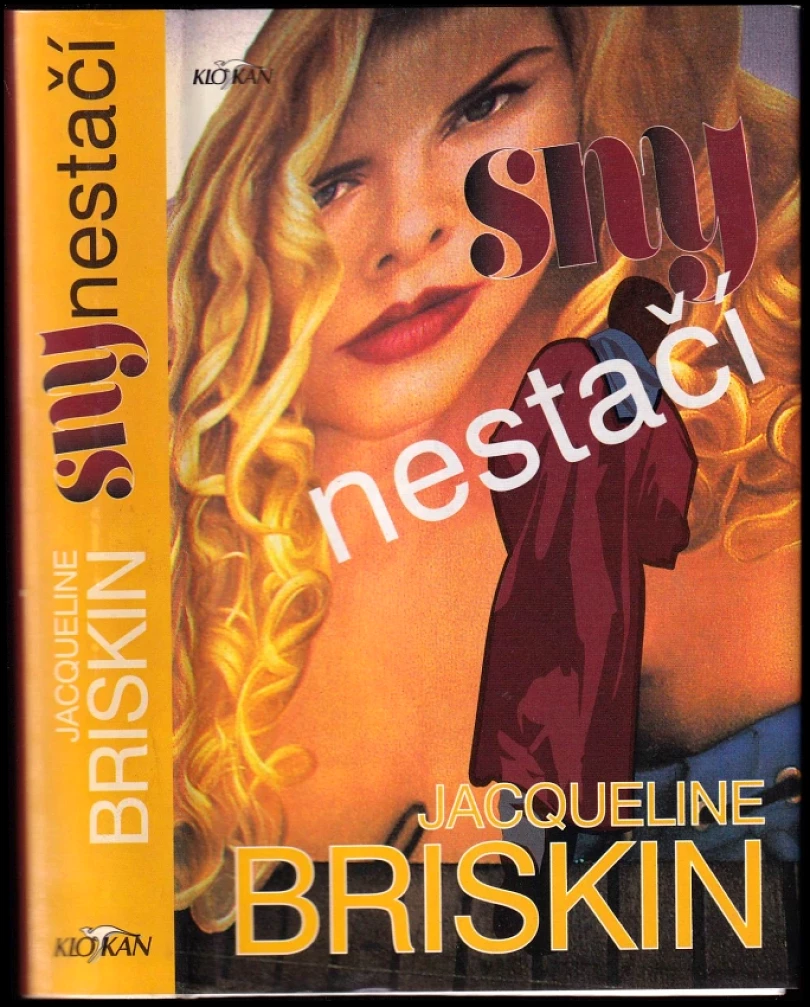 Levně Sny nestačí (Jacqueline Briskin, 1996)
