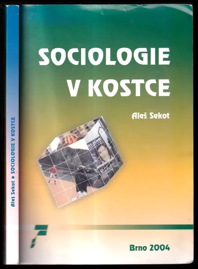 Levně Sociologie v kostce (Aleš Sekot, 2004)