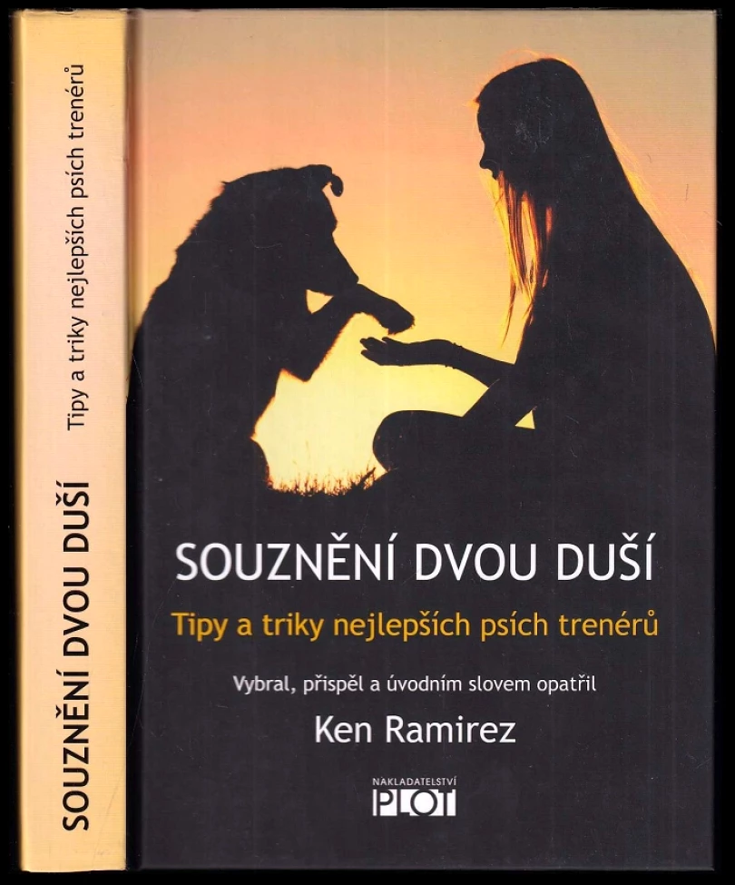 Souznění dvou duší (, 2020)