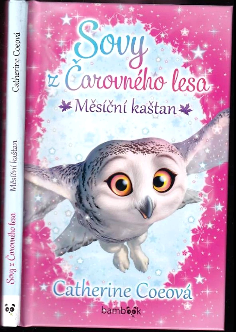 Sovy z Čarovného lesa (Catherine Coe, 2021)