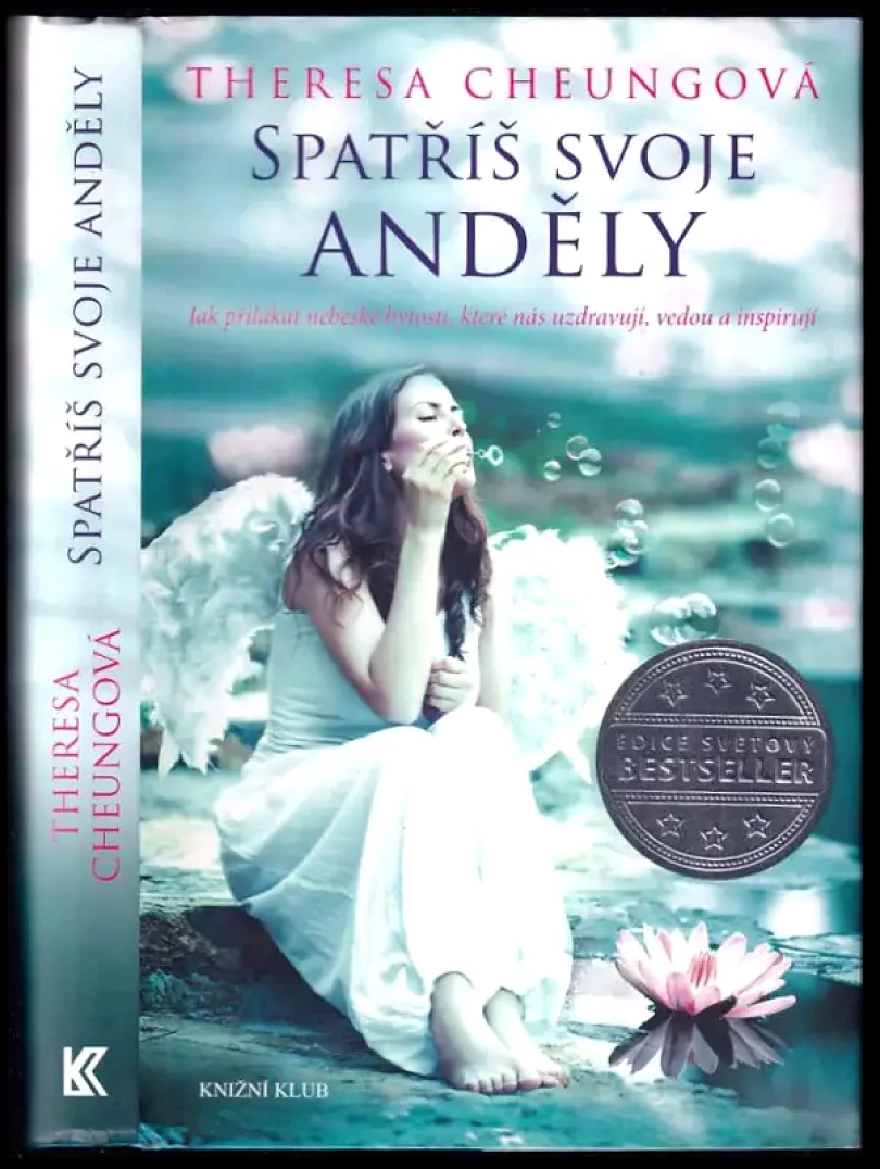Levně Spatříš svoje anděly (Theresa Francis-Cheung, 2014)