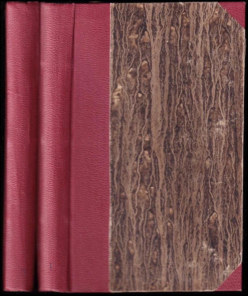 Spišské tajemství : Díl 1 a 3, CHYBÍ DRUHÝ DÍL (Jozef Nižnánsky, 1935)