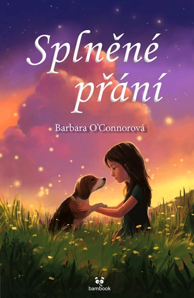 Splněné přání (Barbara O'Connor, 2021)
