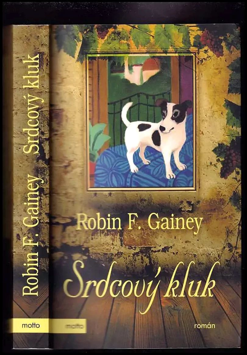 Levně Srdcový kluk (Robin F Gainey, 2015)