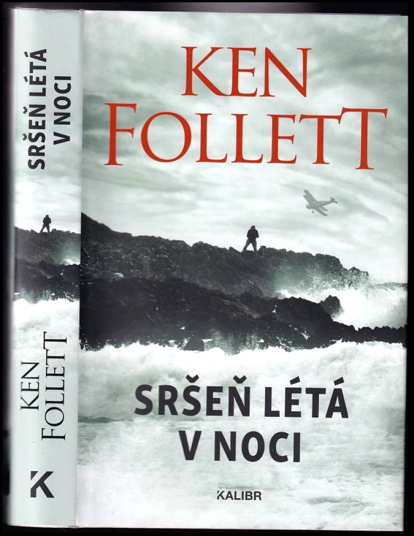 Levně Sršeň létá v noci (Ken Follett, 2022)