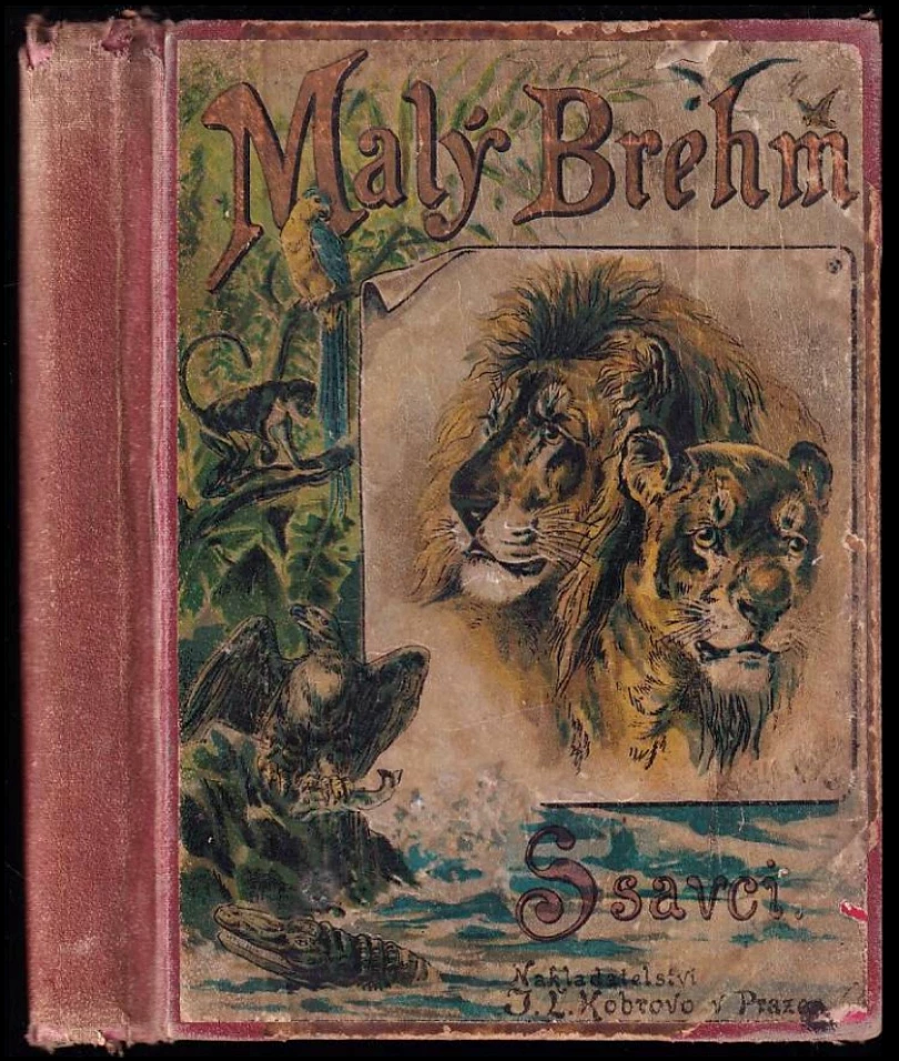 Ssavci (Bohuslav Záborský, 1893)