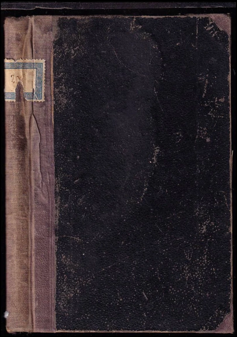 Levně Stará Boleslav, nejstarší poutní místo v Čechách (František Srdínko, 1880)