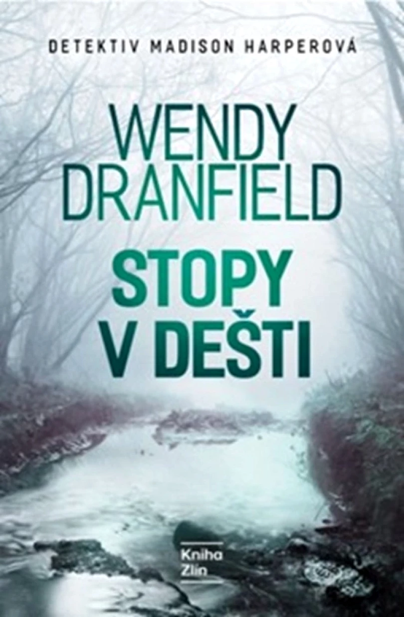Levně Stopy v dešti (Dranfield Wendy, 5)
