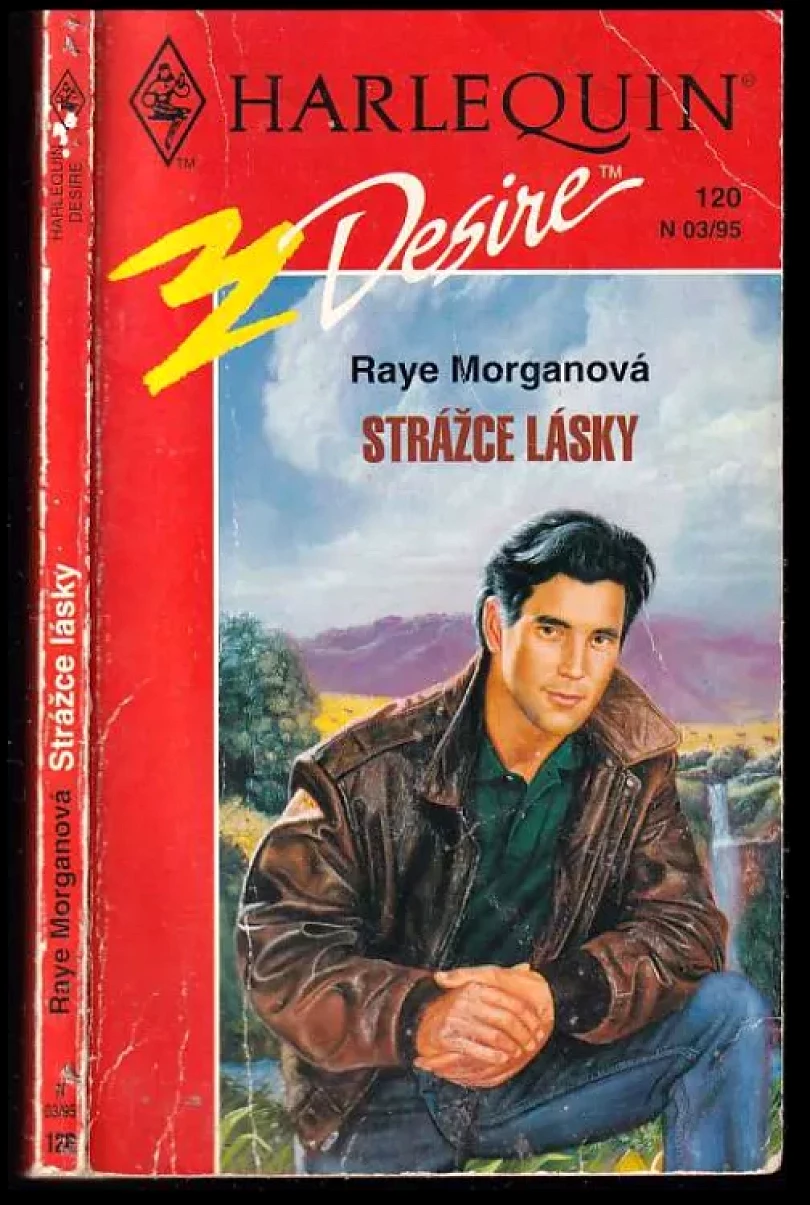 Levně Strážce lásky (Raye Morgan, 1995)