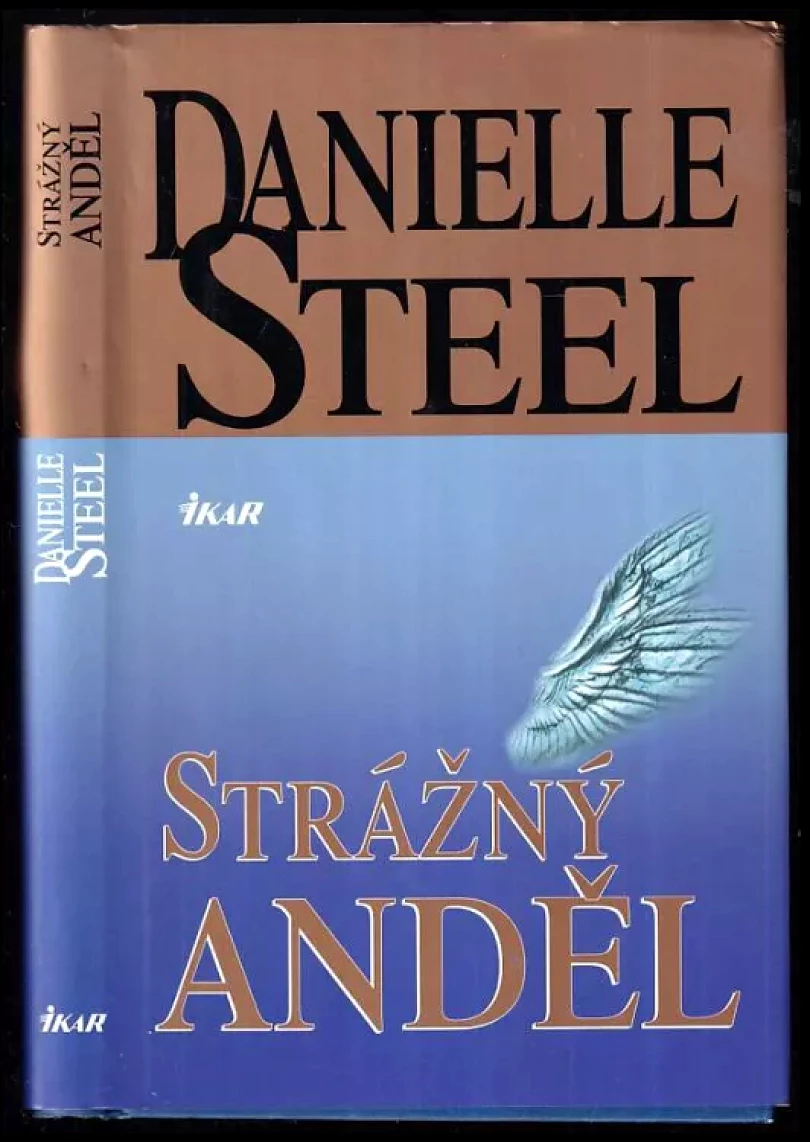 Strážný anděl (Danielle Steel, 2004)