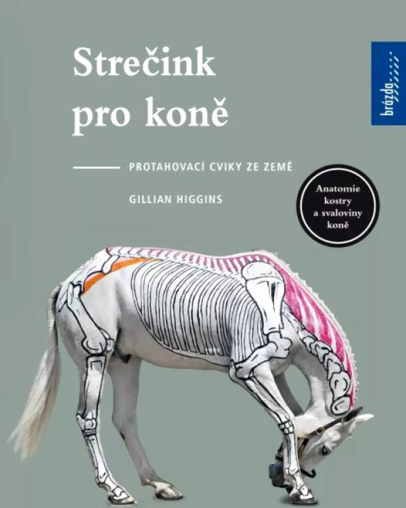 Levně Strečink pro koně (Gillian Higginsová,, 2023)