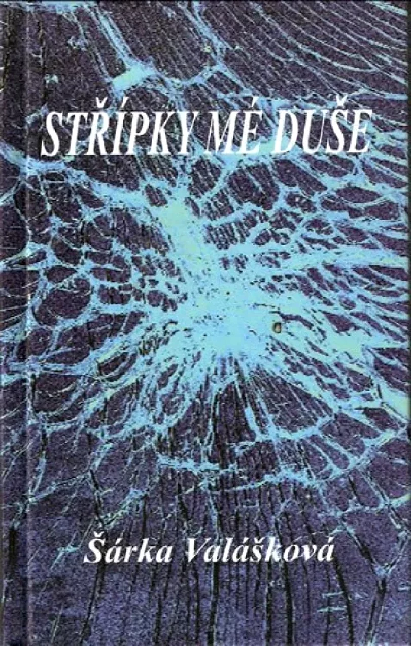 Levně Střípky mé duše (Šárka Valášková, 2014)